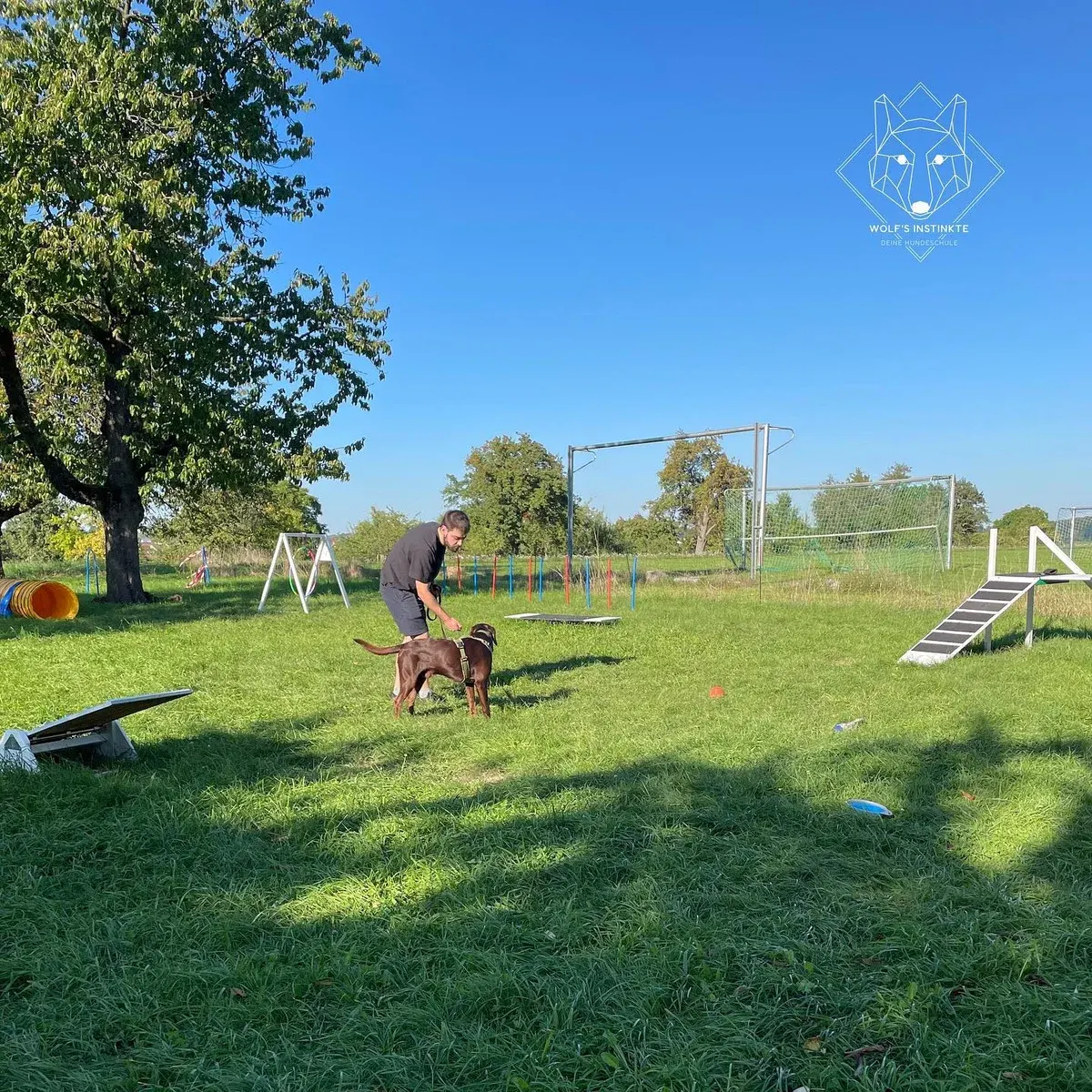 Mensch und Hund üben gemeinsam auf dem Trainingsplatz