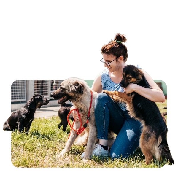 Eine Frau sitzt mit mehreren Hunden auf einer Wiese