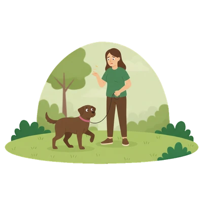 Hund draußen unruhig: Grafik eines Hundes im Park, der von vielen Reizen (Vögel, Bälle, Geräusche) völlig abgelenkt ist und keinen Fokus auf seinen Halter findet.