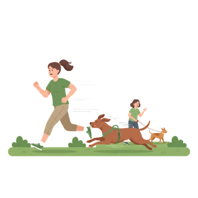 Hund jagt Jogger: Ein Hund startet aus dem Lauf heraus einen Versuch, einen vorbeirennenden Jogger zu hetzen, was die Gefahr von Bewegungsreizen zeigt.