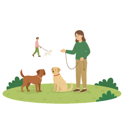 Aggression gegen Hunde: Darstellung einer Begegnung zweier Hunde an der Leine, die sich zähnefletschend und mit aufgestelltem Nackenfell gegenüberstehen.