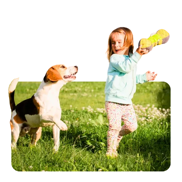 Kind und Hund bei einer gemeinsamen Aktivität