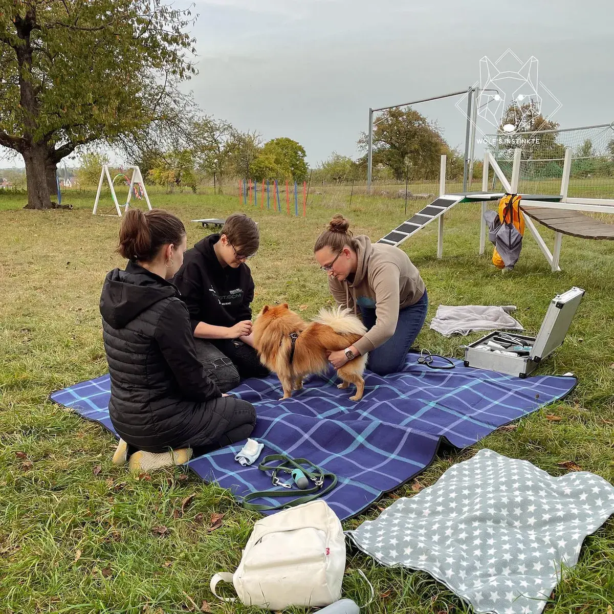 Menschen sitzen mit einem Hund auf einer Decke auf dem Hundeplatz