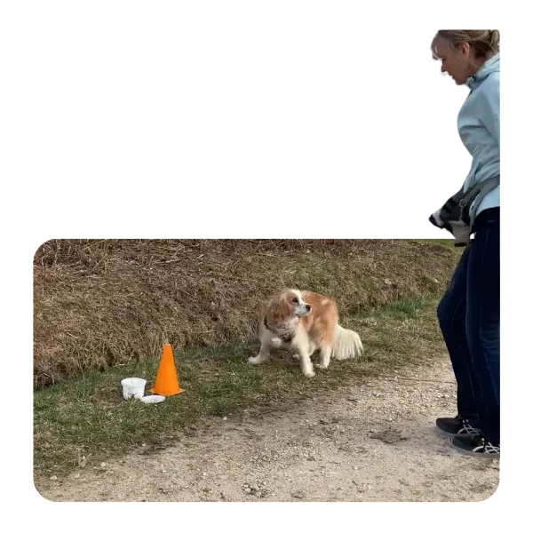 Mensch und Hund üben das Anzeigen im Anti-Giftköder-Training