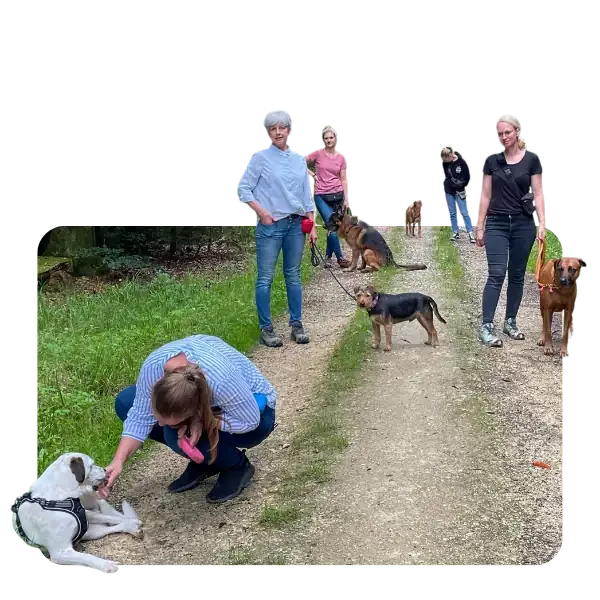 Hunde und ihre Menschen beim gemeinsamen Spaziergang im Wald