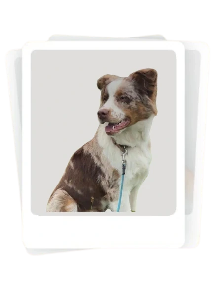 Louise mit Mailo – Kundenfoto